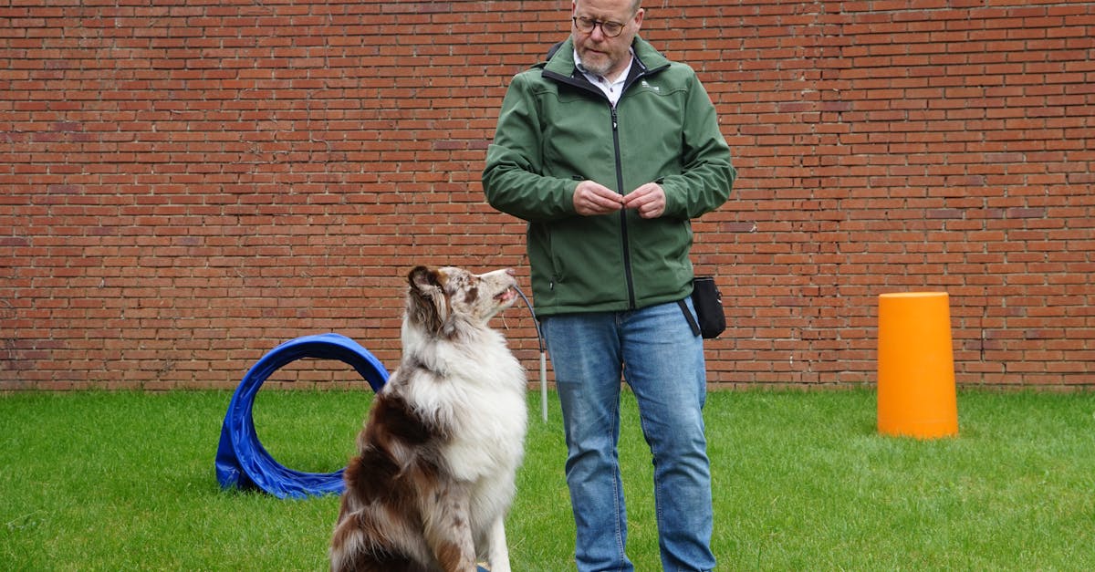 Common Pitfalls to Avoid When Using the Waterfall Methodology