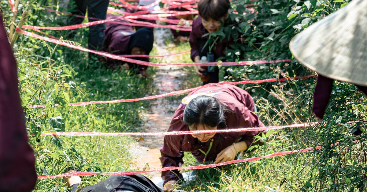 Comparing Course Structures Offered by Different Certification Bodies