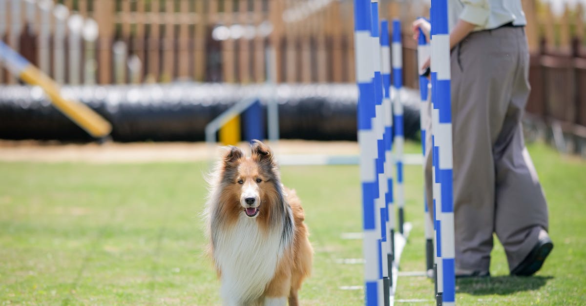 Developing Effective Risk Mitigation Plans