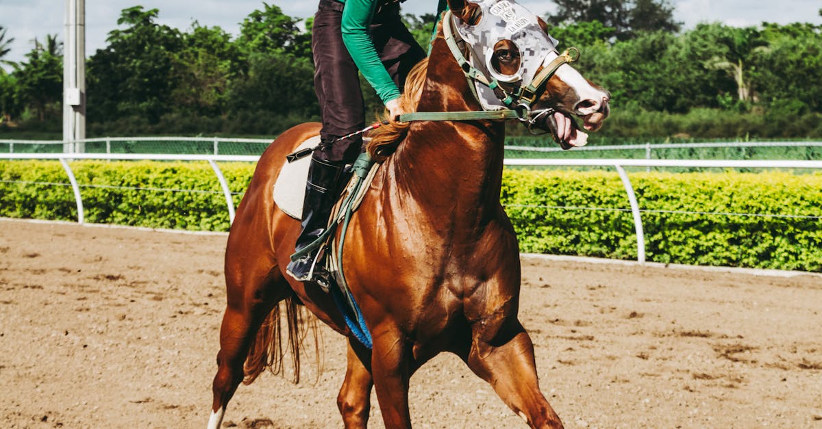 Essential Agile Practices for Effective Project Delivery