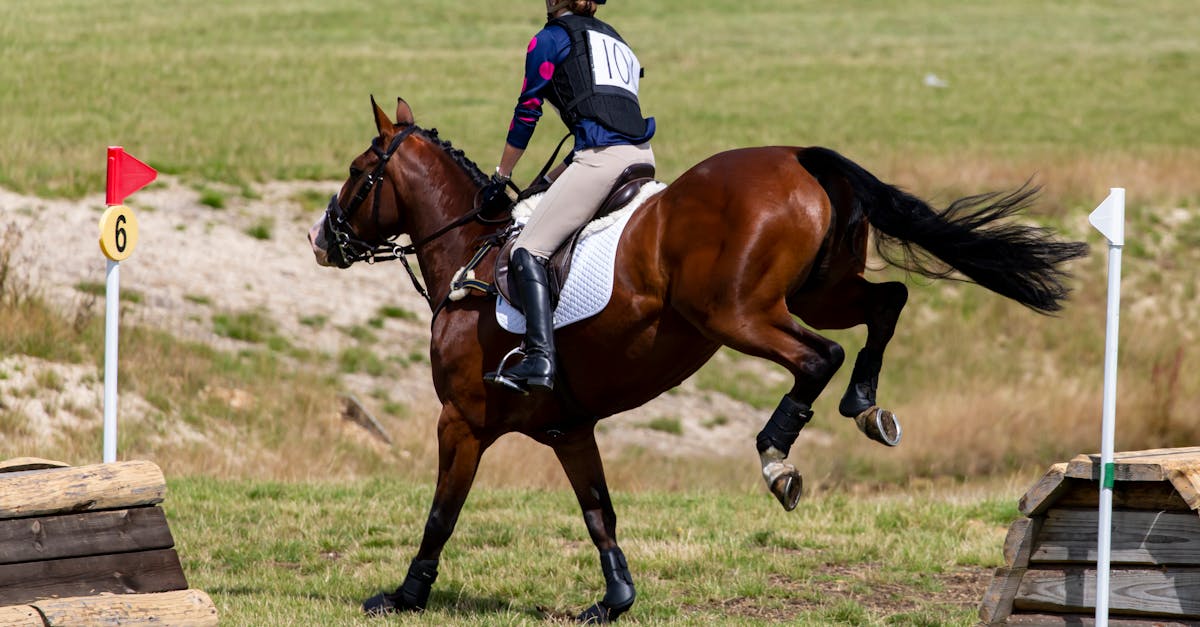 Exploring the Benefits of PRINCE2 Certification