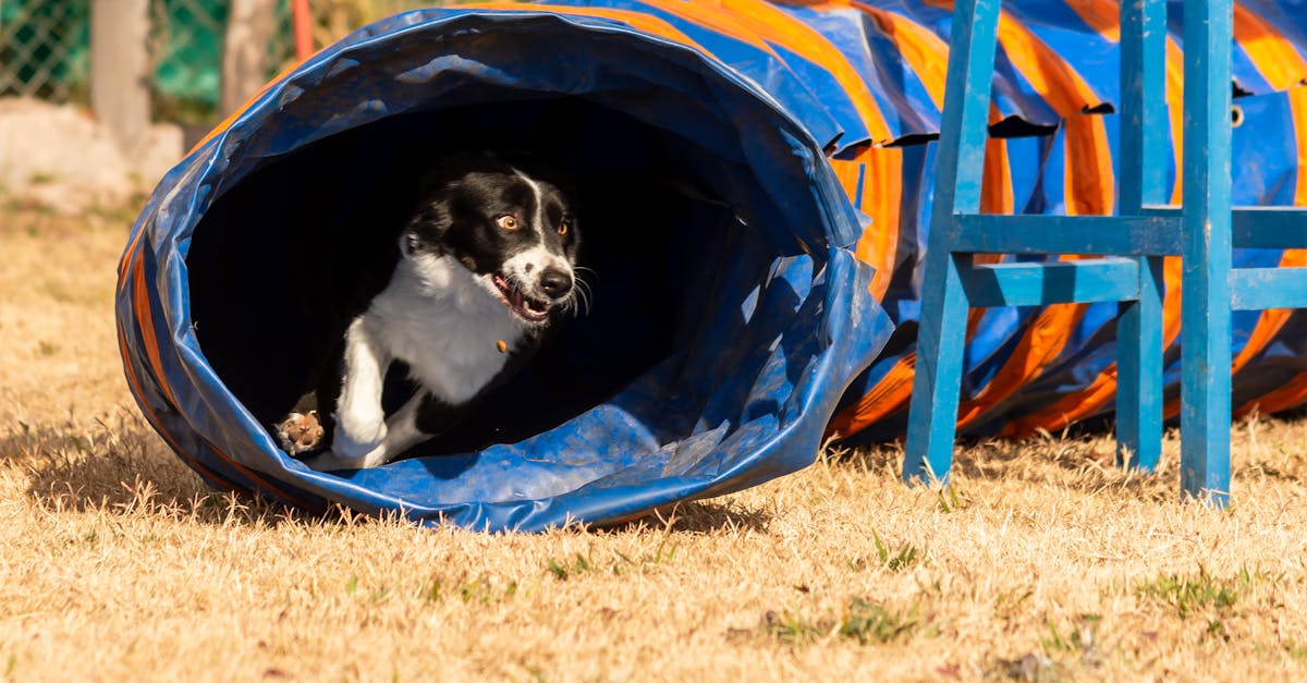 Implementing Scrum in Diverse Project Environments