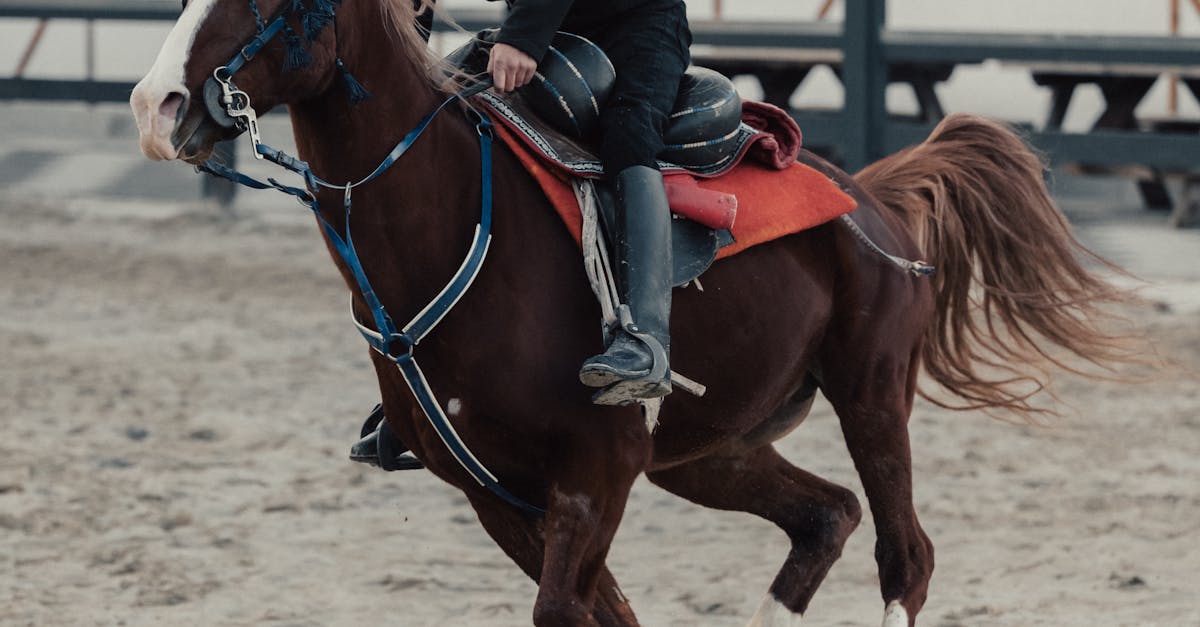 Measuring Success with Scrum Metrics and KPIs