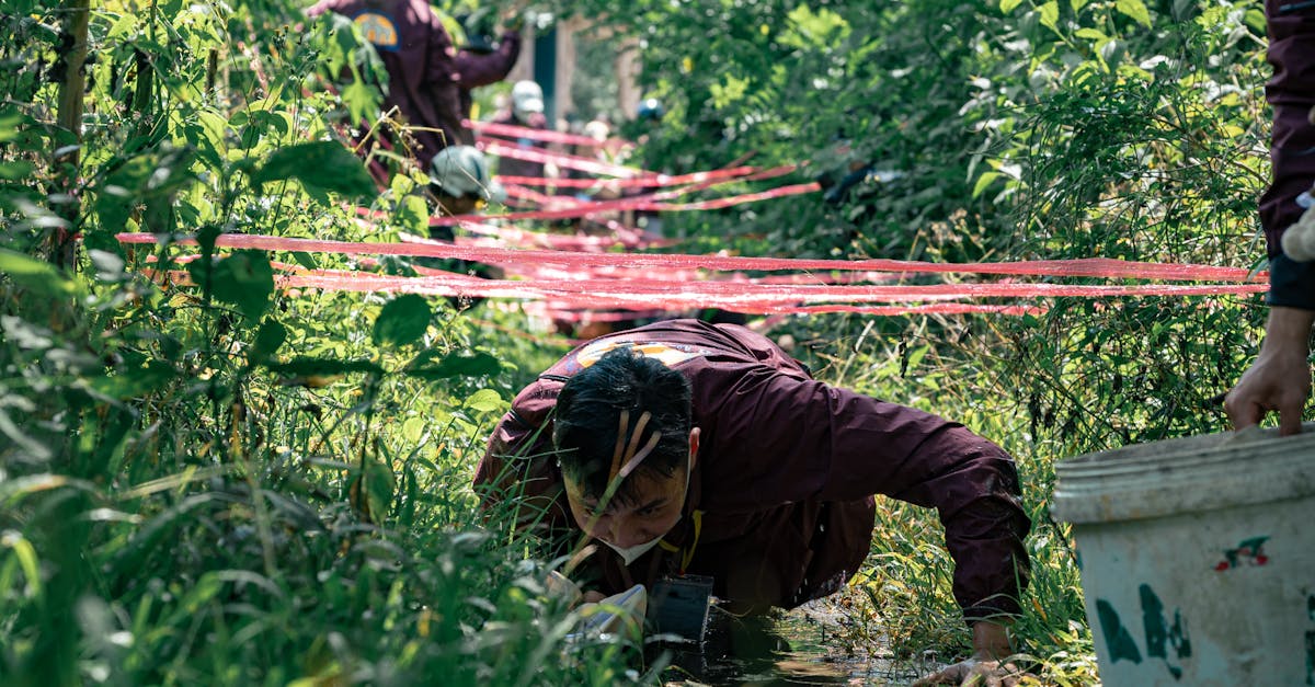 Measuring Team Effectiveness: Key Metrics for Collaboration