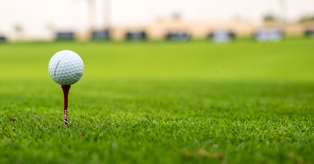 Strategies for Earning CEUs in Project Management