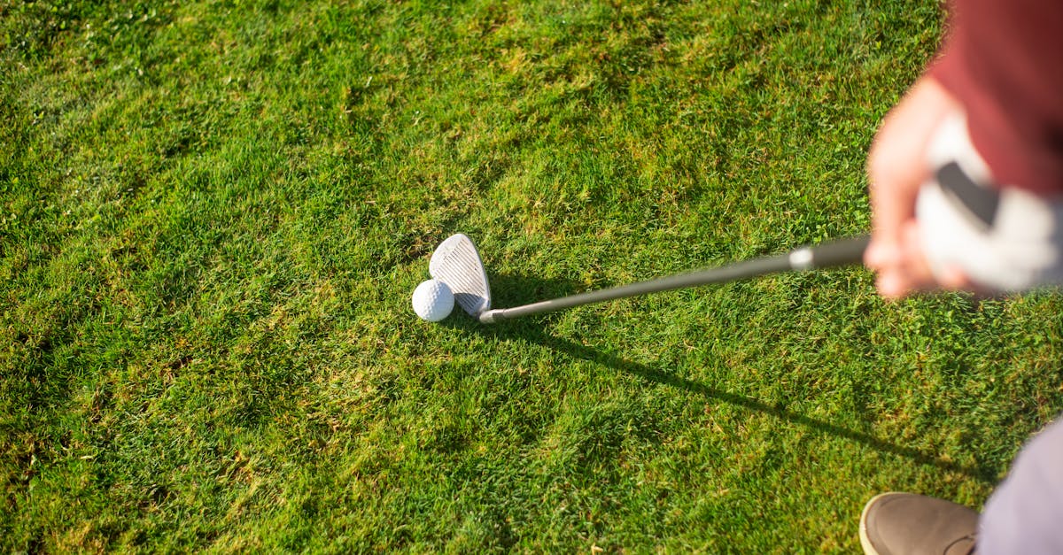 The Role of Emotional Intelligence in Team Dynamics