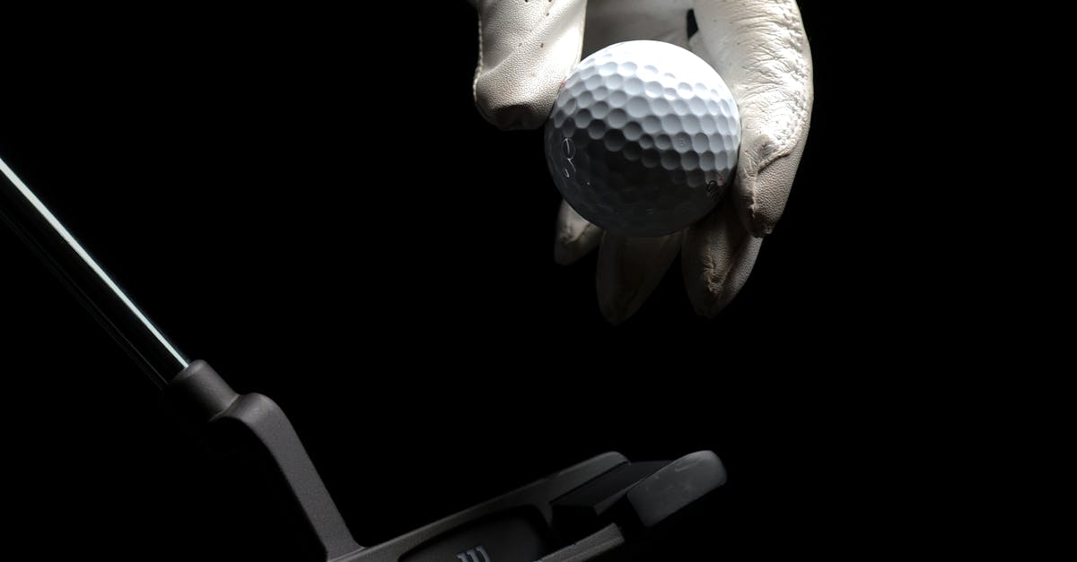 The Role of PRINCE2 Themes in Project Success