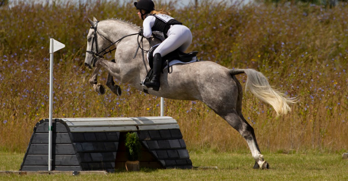 The Role of Webinars in Project Management Continuing Education