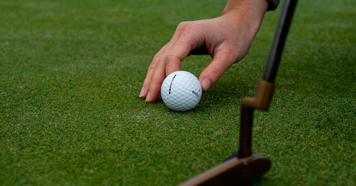 Understanding the Role of PMI in Project Management Certifications